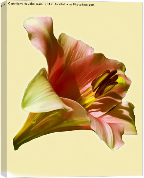 Lily (Abstract Digital Art) Canvas Print by John Wain