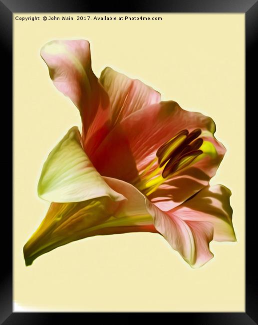 Lily (Abstract Digital Art) Framed Print by John Wain
