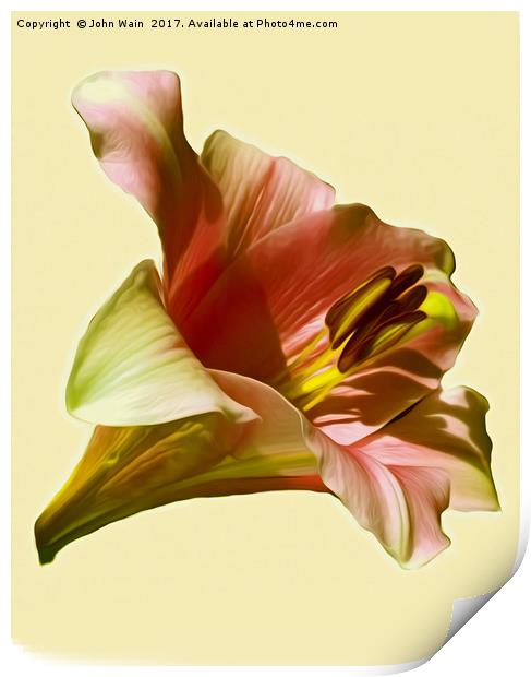 Lily (Abstract Digital Art) Print by John Wain
