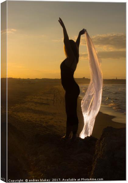 Beach silhouette  Canvas Print by andrew blakey