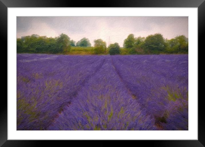 Artsy Lavender Framed Mounted Print by Zahra Majid