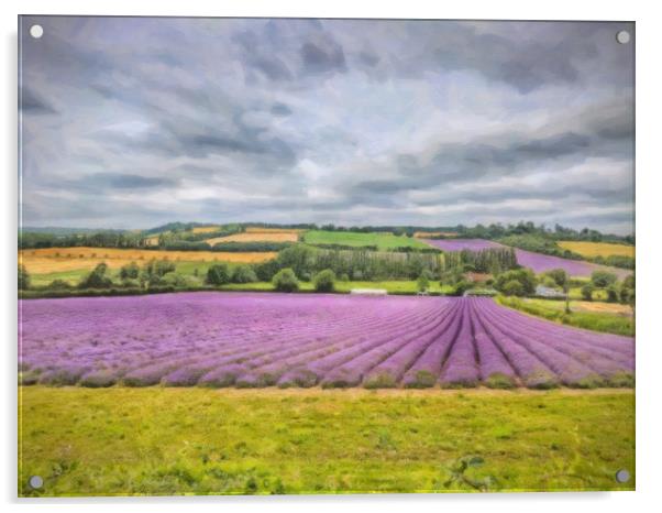 Purple Brushstrokes Acrylic by Zahra Majid