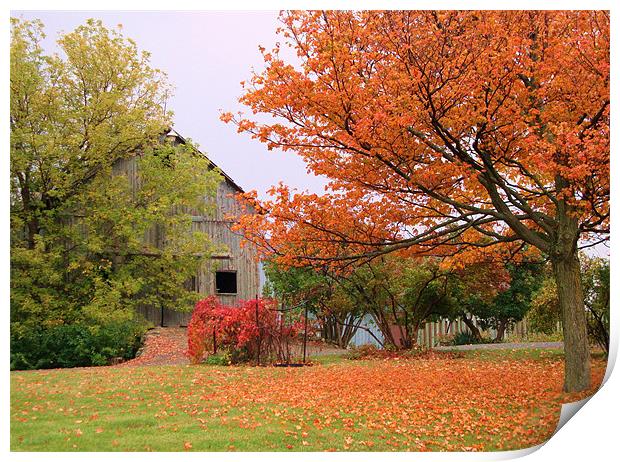 Autumn in the country Print by Donna-Marie Parsons