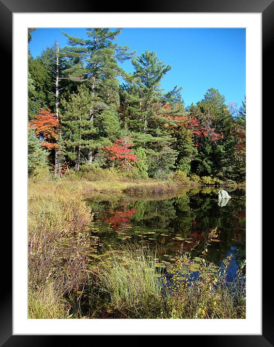 Autumn Reflections Framed Mounted Print by Donna-Marie Parsons