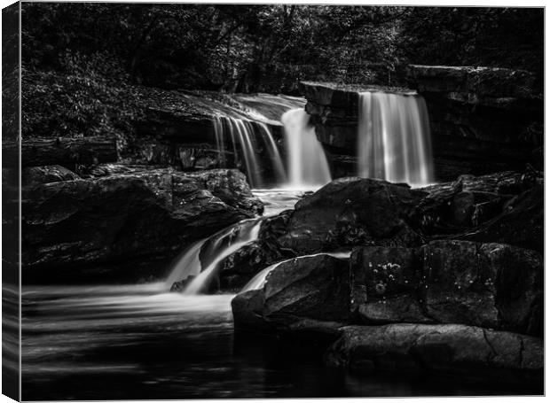 Waterfall on Deckers Creek near Masontown WV Canvas Print by Steve Heap