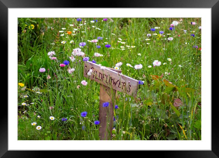 Wildflowers Framed Mounted Print by Andy Heap