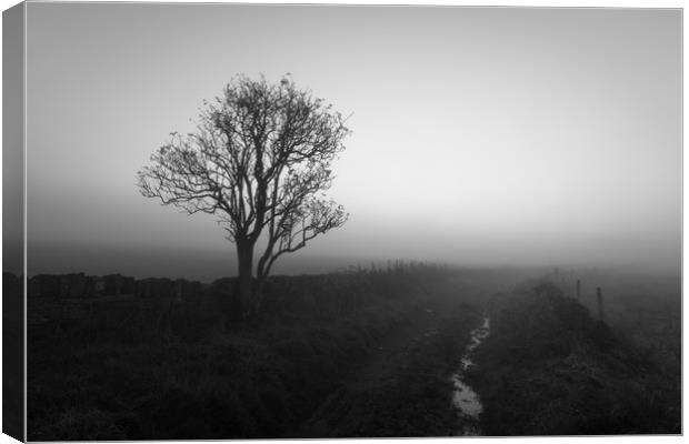 Countryside Fog                             Canvas Print by chris smith