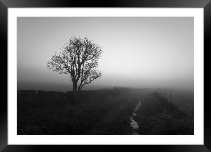Countryside Fog                             Framed Mounted Print by chris smith