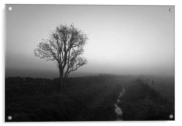 Countryside Fog                             Acrylic by chris smith