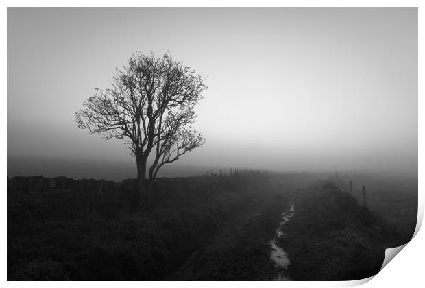 Countryside Fog                             Print by chris smith