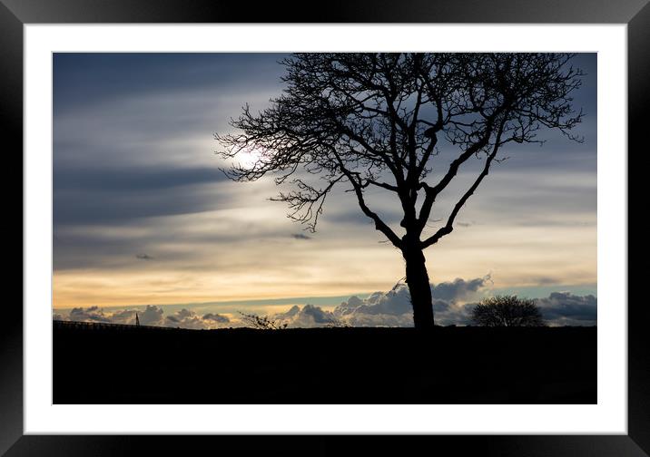 Silhouetted Tree Framed Mounted Print by Gary Finnigan