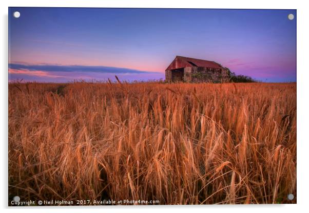 Barley and Barn Acrylic by Neil Holman