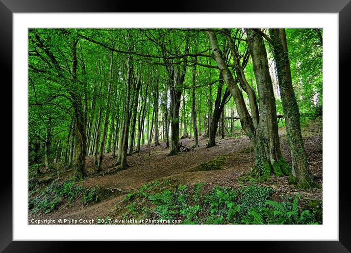 Wild Beauty Framed Mounted Print by Philip Gough