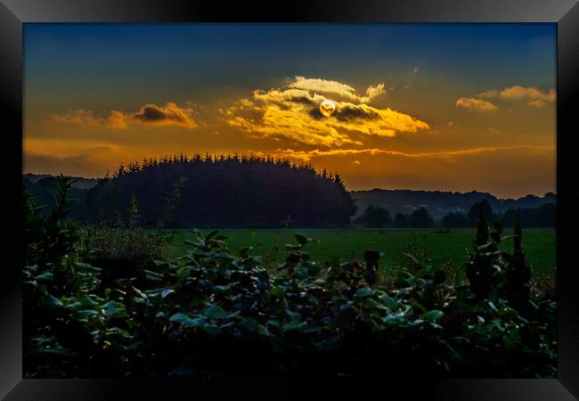 Summer Sunrise, Pembrokeshire, Wales, UK Framed Print by Mark Llewellyn