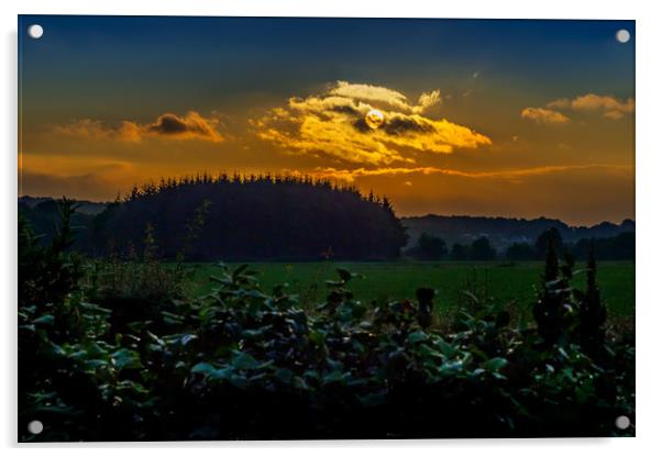Summer Sunrise, Pembrokeshire, Wales, UK Acrylic by Mark Llewellyn