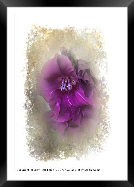 Purple Gladiolas Framed Mounted Print by Judy Hall-Folde