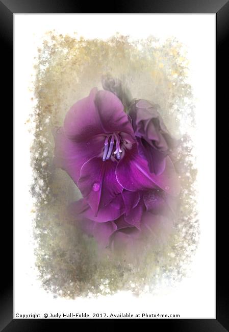 Purple Gladiolas Framed Print by Judy Hall-Folde