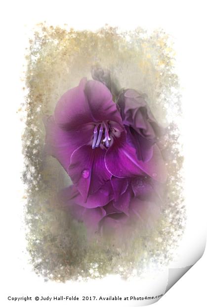 Purple Gladiolas Print by Judy Hall-Folde