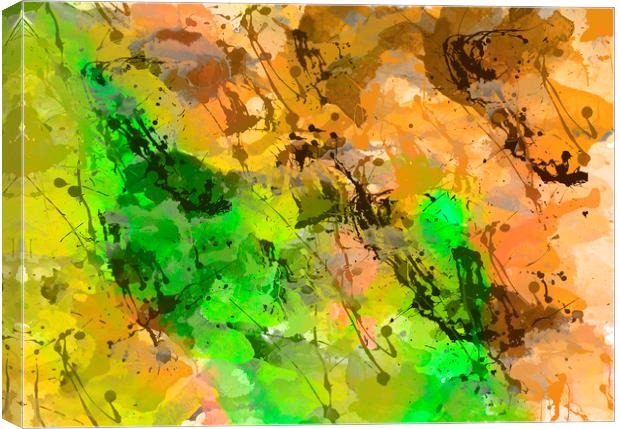 Watercoulor abstract  Canvas Print by chris smith