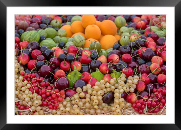 Mixed berries  Framed Mounted Print by chris smith