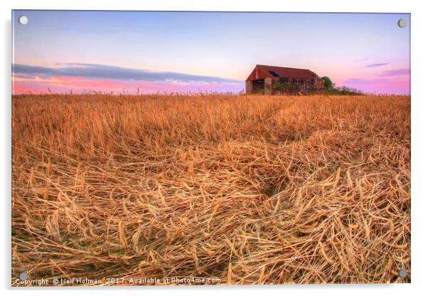 Barley and Barn, Vale of Glamorgan Acrylic by Neil Holman