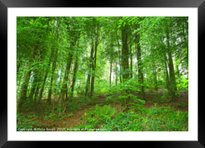 FOREST COLOUR Framed Mounted Print by Philip Gough