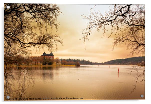 Castle, Lake and Goldeneye Acrylic by Jukka Heinovirta