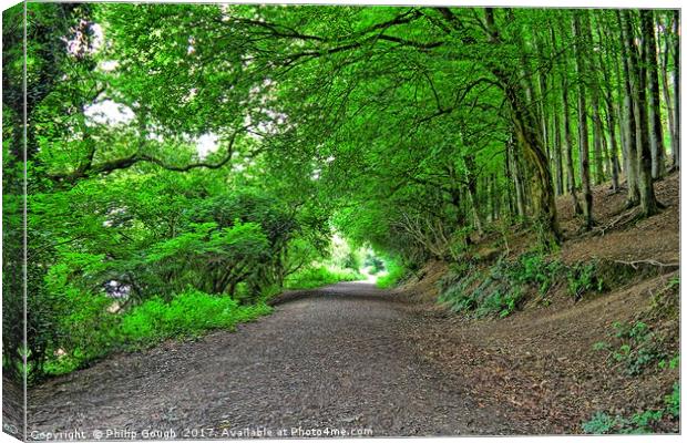 Walking on Langdon Hill Canvas Print by Philip Gough