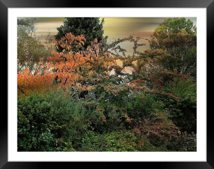 Natures Fireworks Framed Mounted Print by Heather Goodwin
