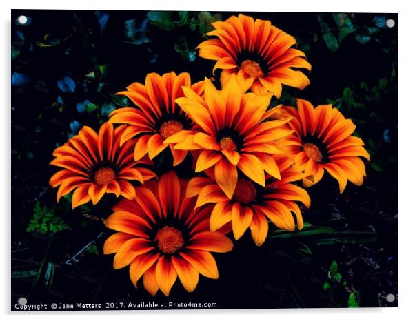 Orange Petals Acrylic by Jane Metters