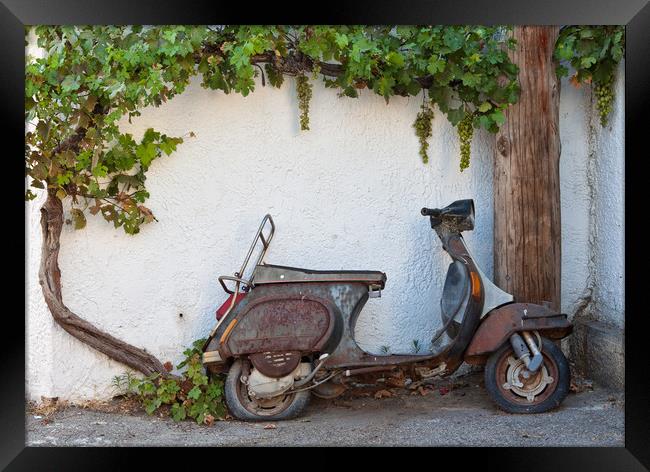 Abandoned Moped Framed Print by Rory Trappe
