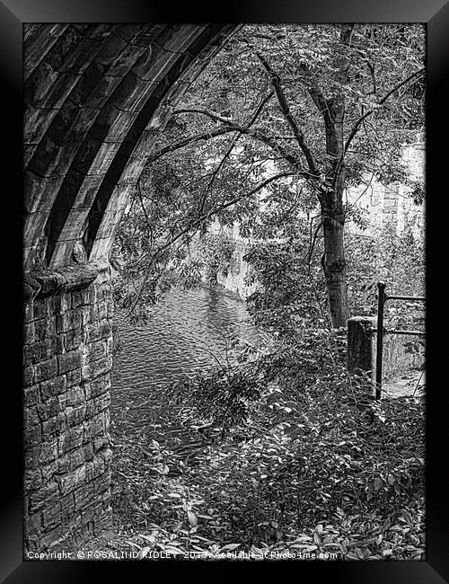 "Tree at the Bridge" Framed Print by ROS RIDLEY