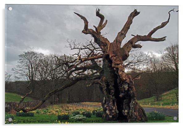 The Laund Oak Acrylic by Steven Watson