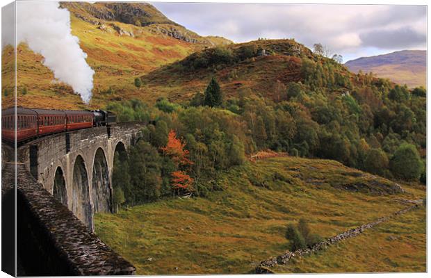 Steam train on Glenfinnan Viaduct Scotland Canvas Print by Linda More