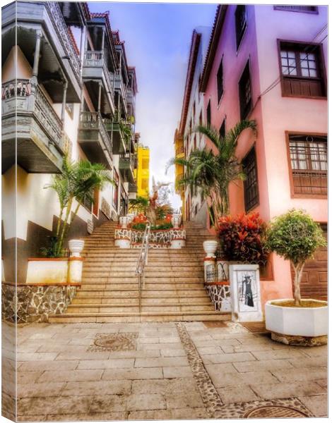 Charming Steps of Tenerife Canvas Print by Beryl Curran