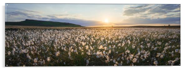 Upper Burbage Cottongrass  Acrylic by James Grant