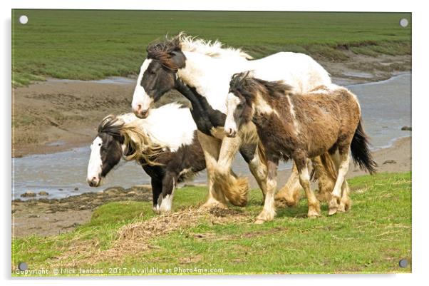 Three Heavy Horses Acrylic by Nick Jenkins