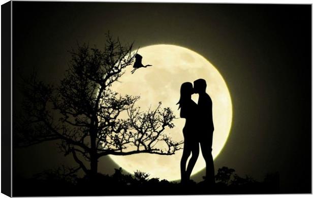 moonlight kiss Canvas Print by sue davies