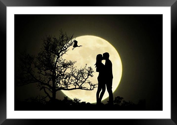 moonlight kiss Framed Mounted Print by sue davies