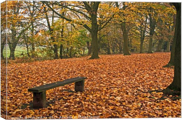 Autumn in the Woods Canvas Print by Nick Jenkins