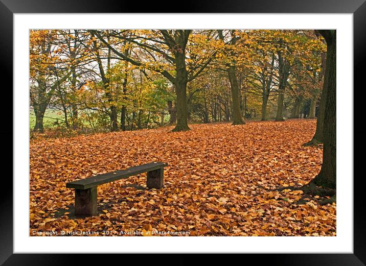 Autumn in the Woods Framed Mounted Print by Nick Jenkins