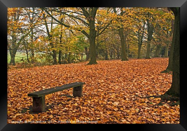 Autumn in the Woods Framed Print by Nick Jenkins