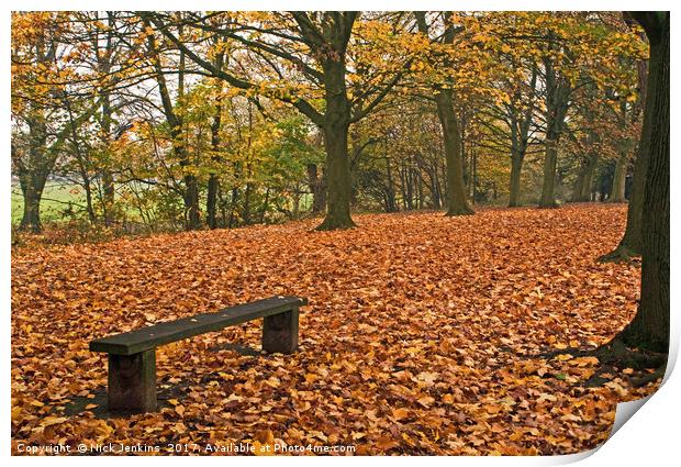 Autumn in the Woods Print by Nick Jenkins