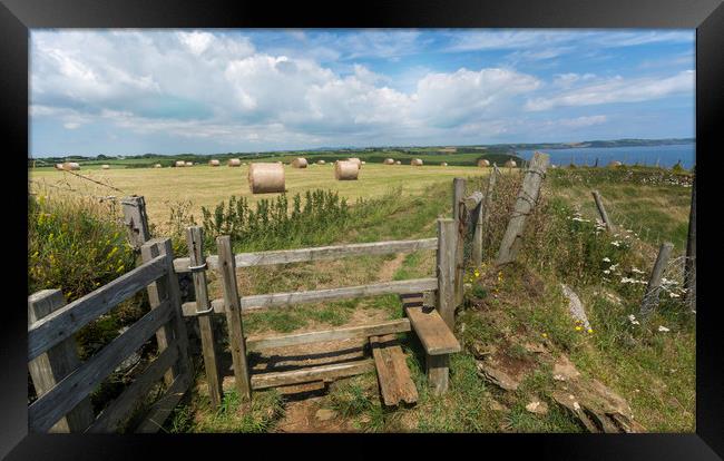 Straw bales at harvest time on the cornwall coast Framed Print by Eddie John