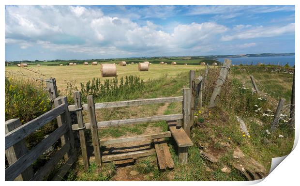 Straw bales at harvest time on the cornwall coast Print by Eddie John