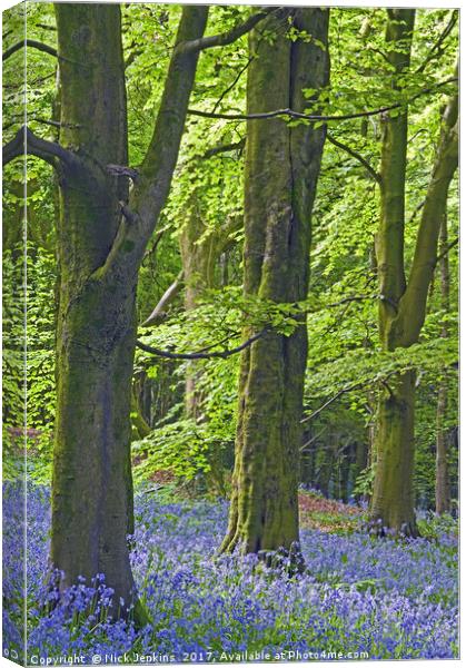 Three Trees in the Bluebell Woods Canvas Print by Nick Jenkins