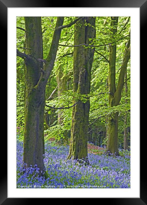 Three Trees in the Bluebell Woods Framed Mounted Print by Nick Jenkins