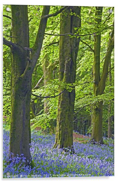 Three Trees in the Bluebell Woods Acrylic by Nick Jenkins