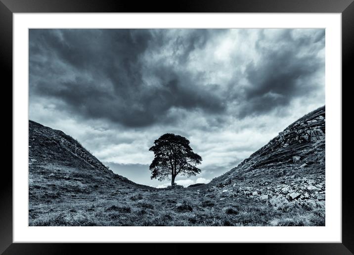 Sycamore Gap, Hadrians Wall Framed Mounted Print by Gavin Liddle