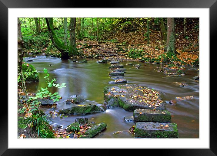 Autumn River Stones Framed Mounted Print by Phil Swindin
